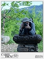 Robertino_Radovix-2013-0515-Macro (39)